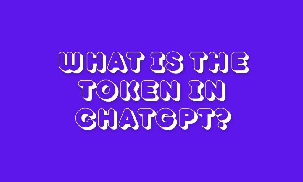 Understanding the Input and Output Tokens​
